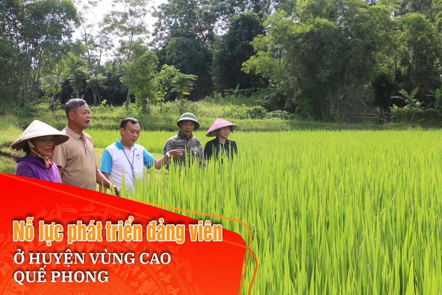 Bài cuối: Giải pháp để công tác phát triển Đảng được ‘sâu rễ, bền gốc’ 