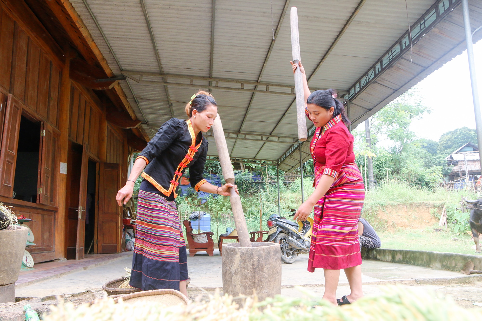 Lúa sau khi phơi khô sẽ cho vào cối giã cho đến khi tróc vỏ trấu