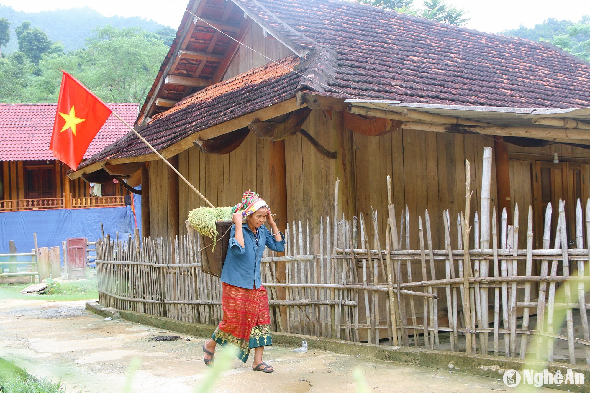 Vào khoảng tháng 9 – 10 dương lịch hàng năm, khi cây lúa trên nương ngả màu vàng, gia chủ sẽ chọn ngày lành đi lựa chọn những bông lúa nếp chín mẩy, trĩu bông mang về làm cốm