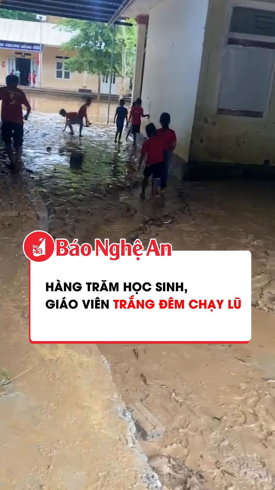 Hàng trăm học sinh, giáo viên trắng đêm chạy lũ 