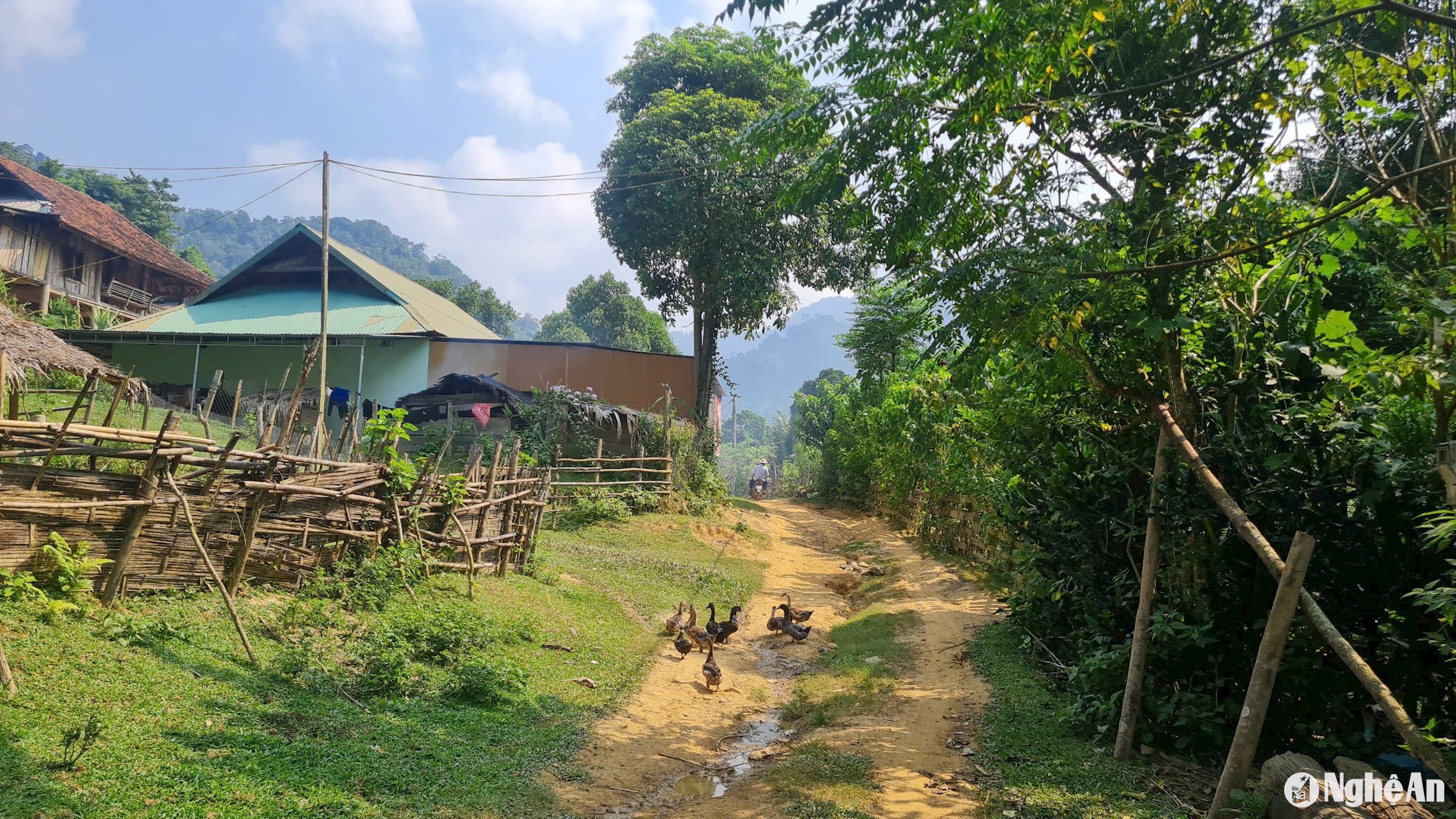 Xốp Kho