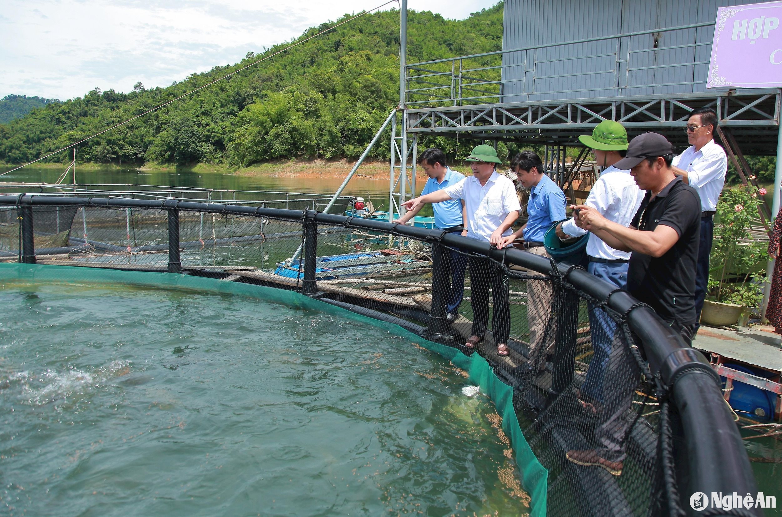 Lãnh đạo Ban Dân vận Tỉnh ủy thăm mô hình nuôi cá lồng trên lòng hồ Nhà máy Thủy điện Hủa Na. Ảnh: Ngân Hạnh