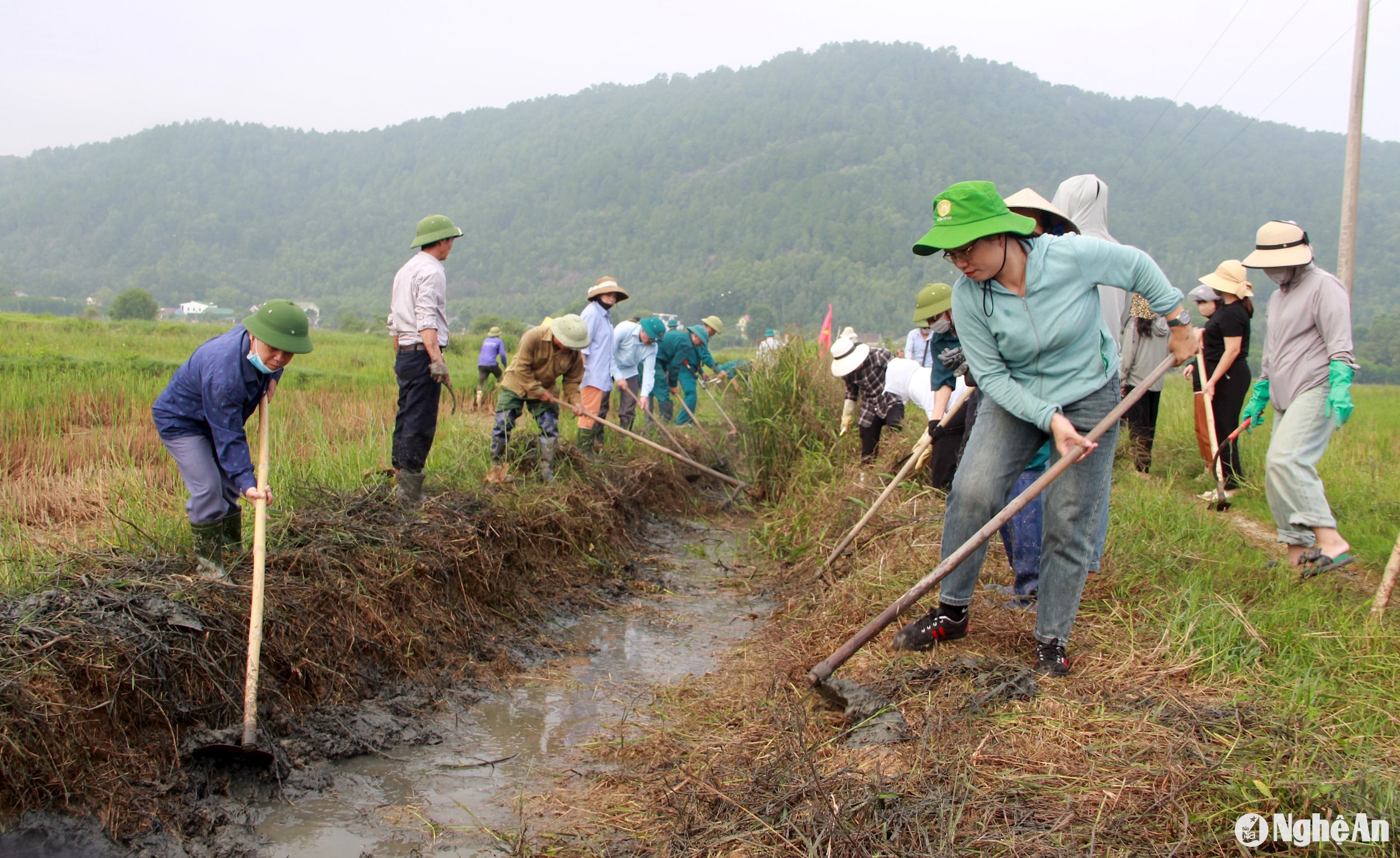 người dân