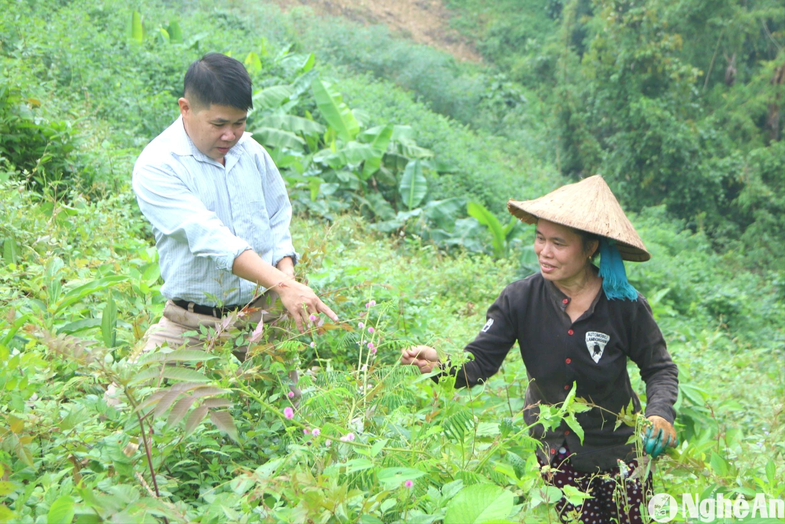 can-bo-nong-nghiep-xa-yen-tinh-huong-dan-nguoi-dan-cach-thu-hai-che-day-2-.jpg