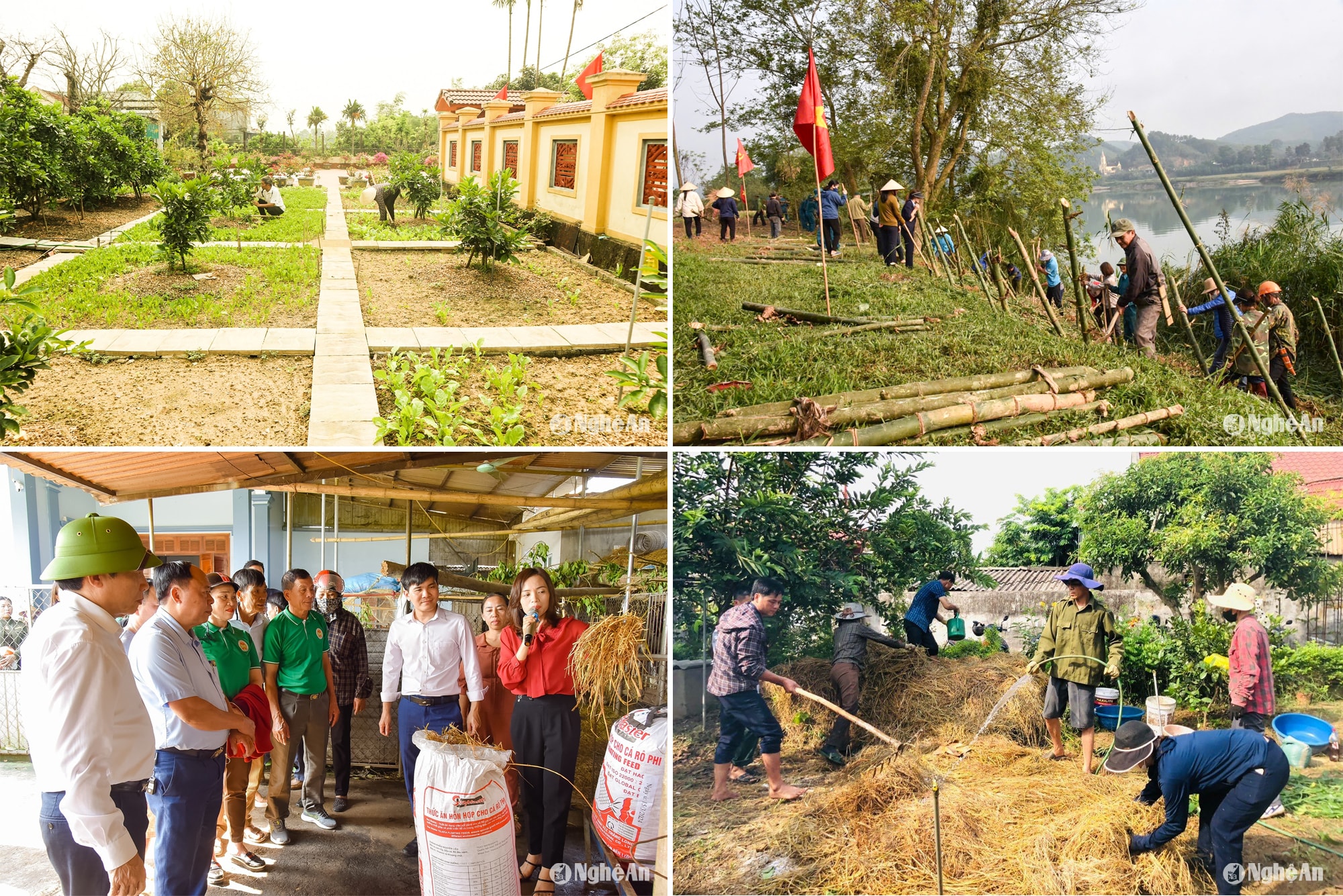 Vườn chuẩn nông thông mới ở xã Nghi Long (Nghi Lộc); Phong trào trồng tre, mét chống sạt lở của nông dân Anh Sơn; Tập huấn sản xuất phân bón hữu cơ vi sinh từ phế phụ phẩm nông nghiệp. Ảnh: TP - TL