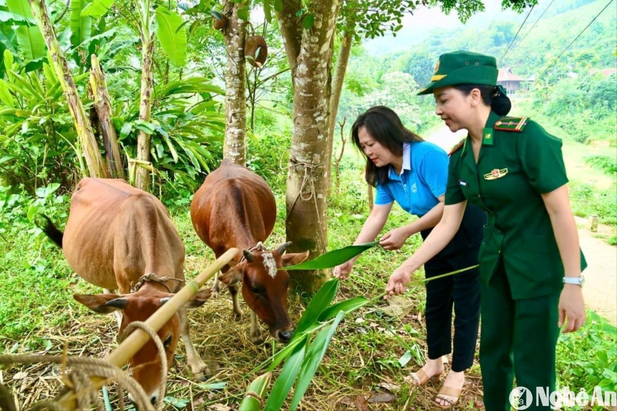 hoi-phu-nu-bdbp-nghe-an-phoi-hop-voi-hoi-lhpn-nghe-an-to-chuc-chuong-trinh-dong-hanh-cung-phu-nu-bien-cuong.-anh-le-thach(1).jpg