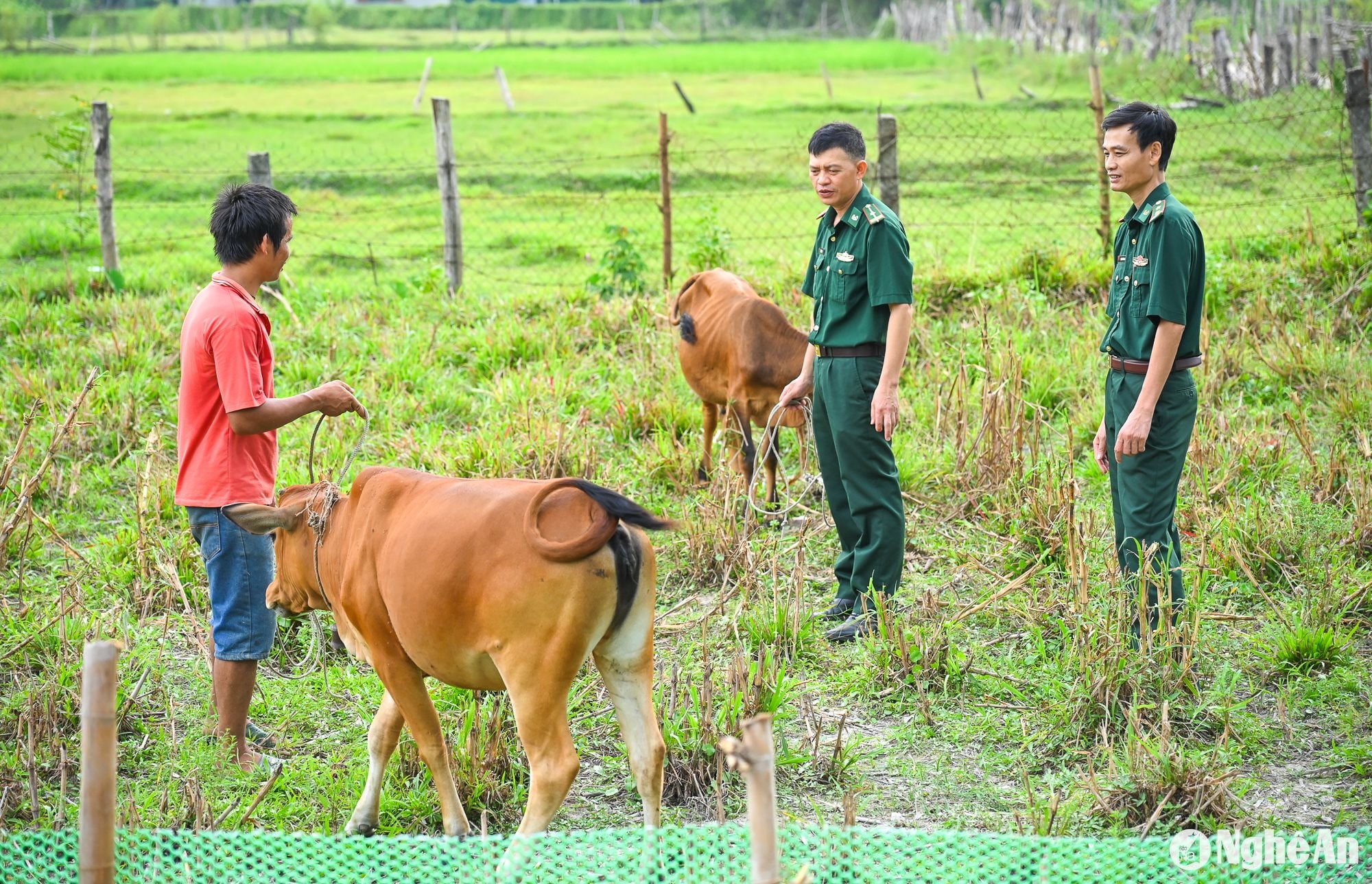 Môn Sơn 7