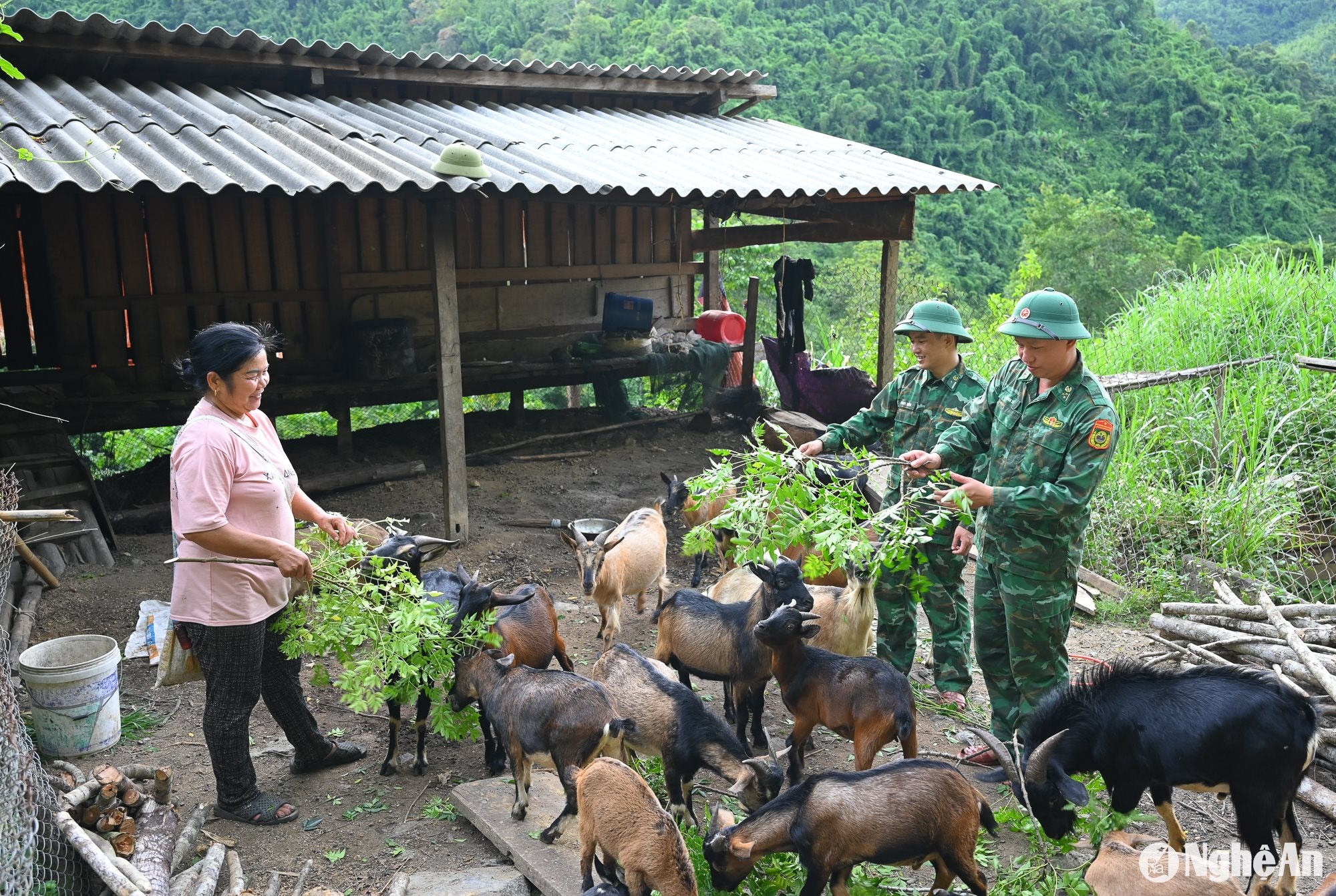 Tam Hợp 5