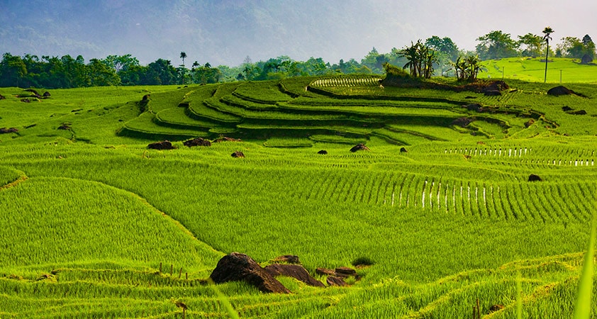 Pù Luông - Thanh Hóa. Ảnh: naturabungalow.com