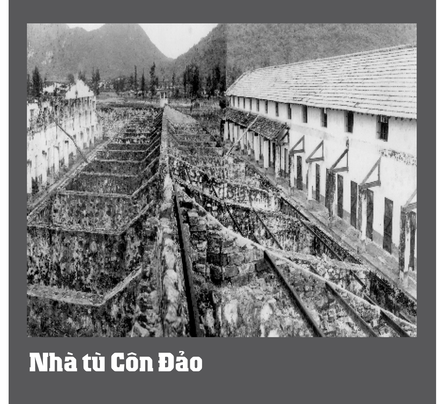 nhatucondao.png