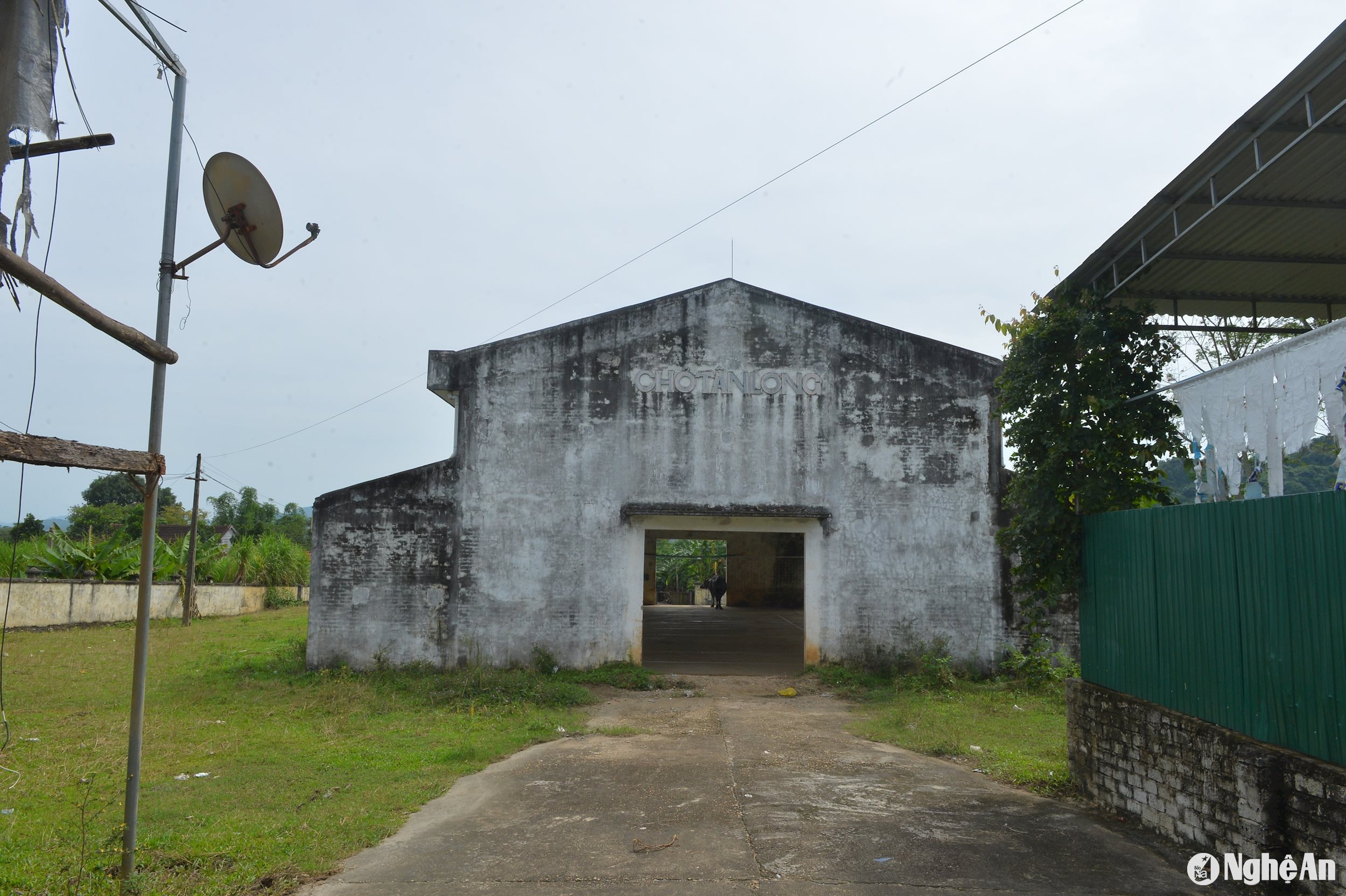 Chợ Tân Long (xã Tân Long, huyện Tân Kỳ) nhiều năm qua vắng bóng tiểu thương. Ảnh: Văn Trường