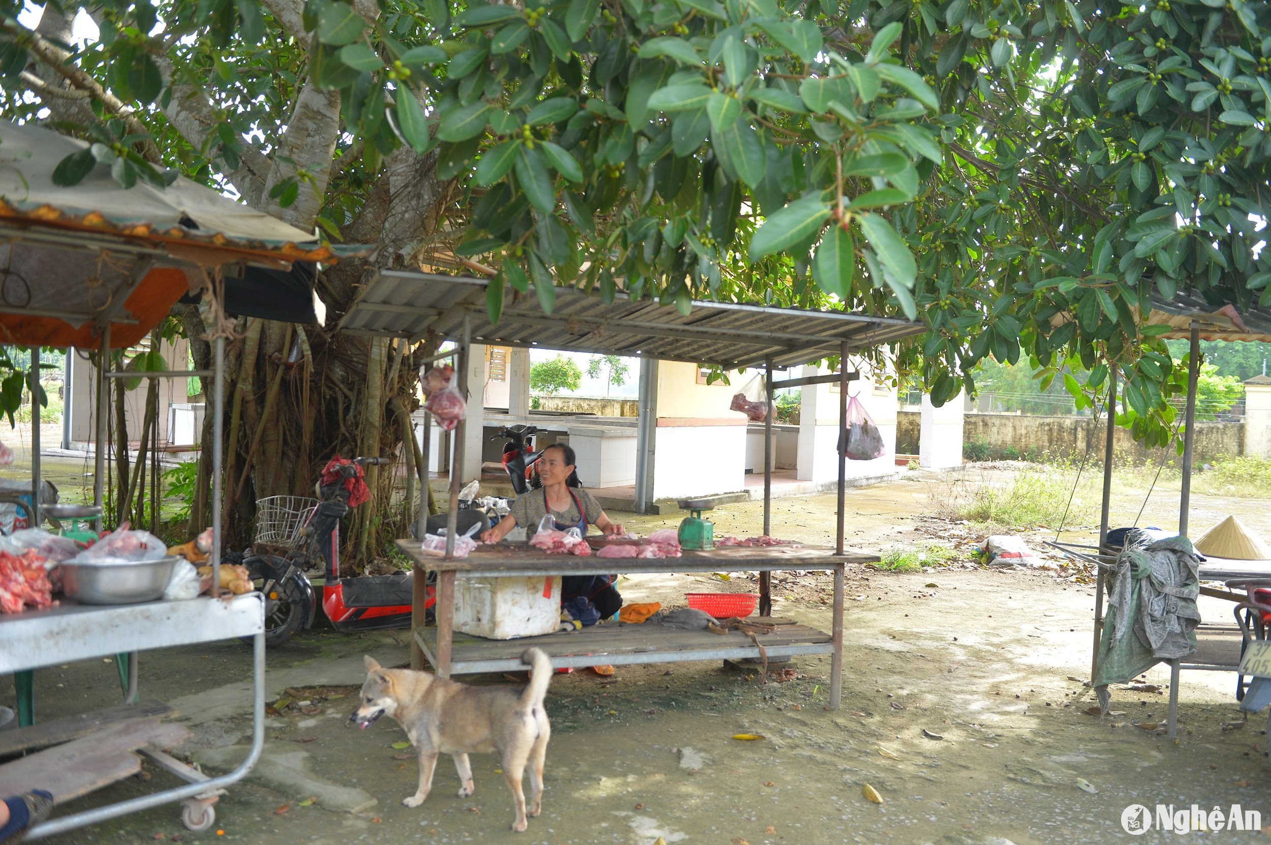 Các tiểu thương không vào đình chợ Bài Sơn mà bán hàng bên ngoài. Ảnh: Văn Trường