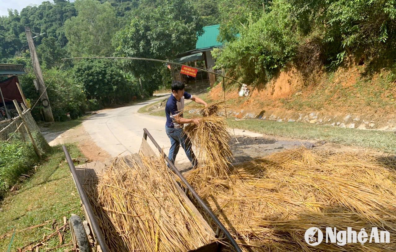 Lập chốt kiểm soát dịch bệnh tại xã Yên Na, huyện Tương Dương. Ảnh: Q.A