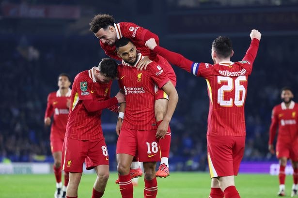 Liverpool player ratings, winners and losers vs Brighton as Cody Gakpo and one more excellent - Liverpool.com