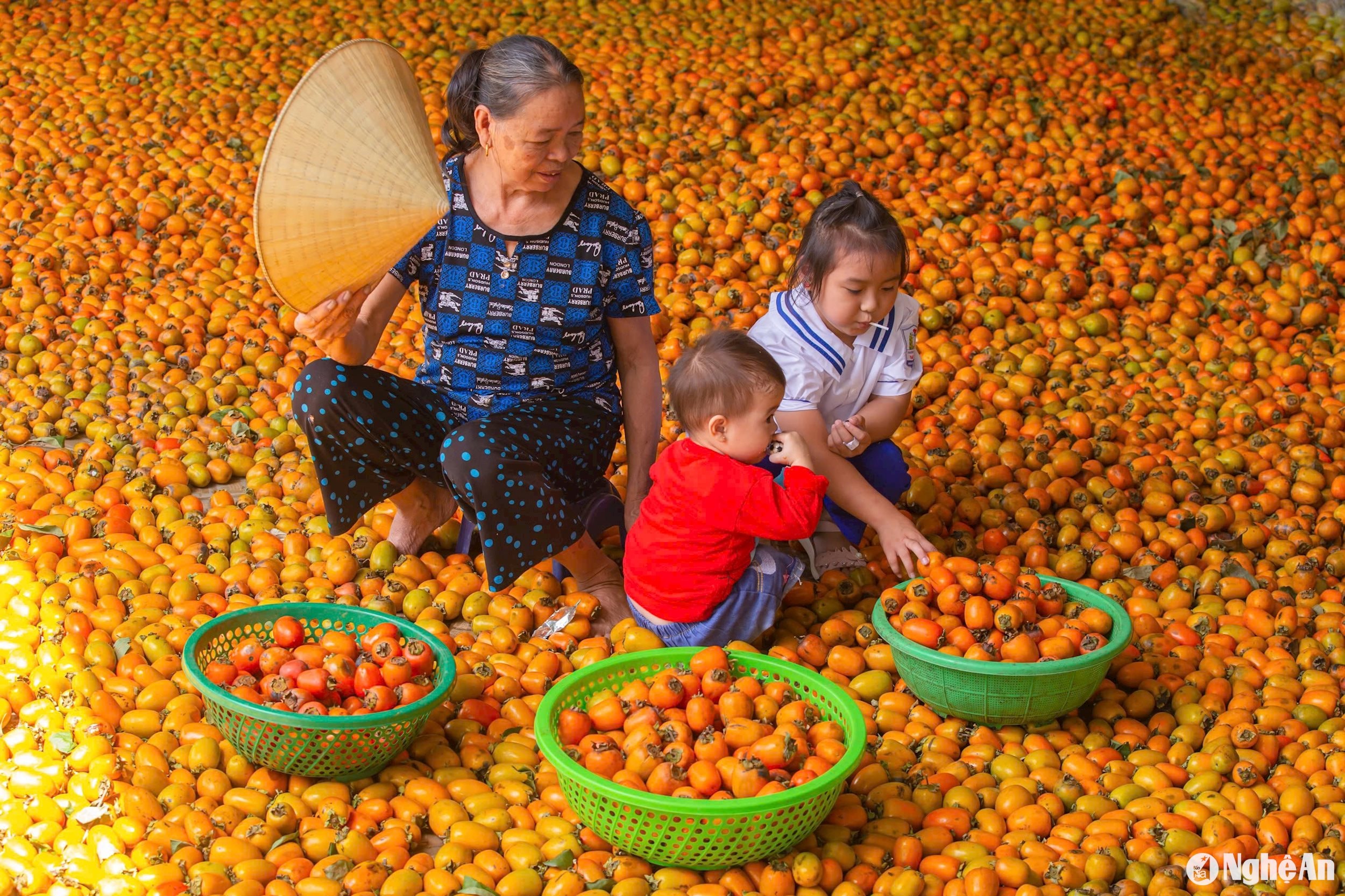 Nhờ có du lịch sinh thái, nông sản của người dân địa phương sản xuất ra cũng dễ tiêu thụ hơn, bán được giá hơn, trong đó gồm bán hồng quả chín, rau, chè, sắn dây… Ảnh: Quốc Đàn