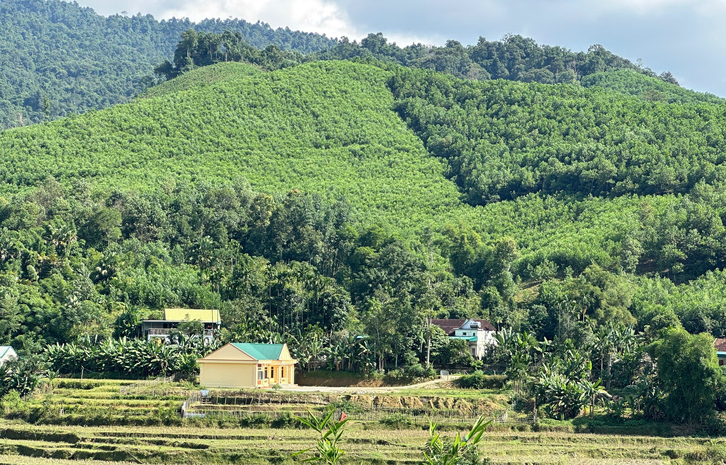 Người dân Châu Phong đang thiếu đất để sản xuất.