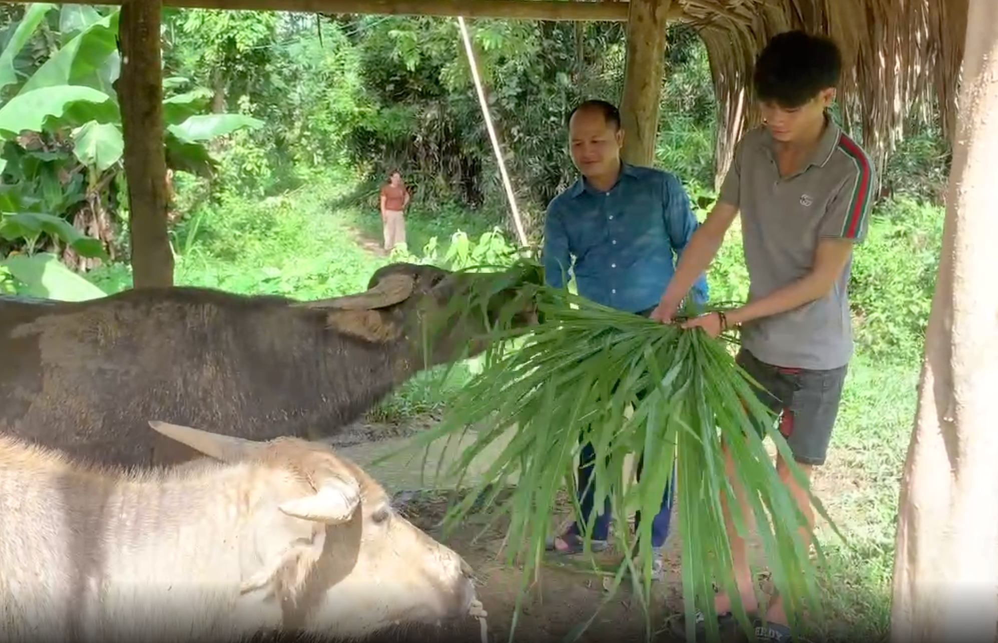 bản Văng Môn Nga My7