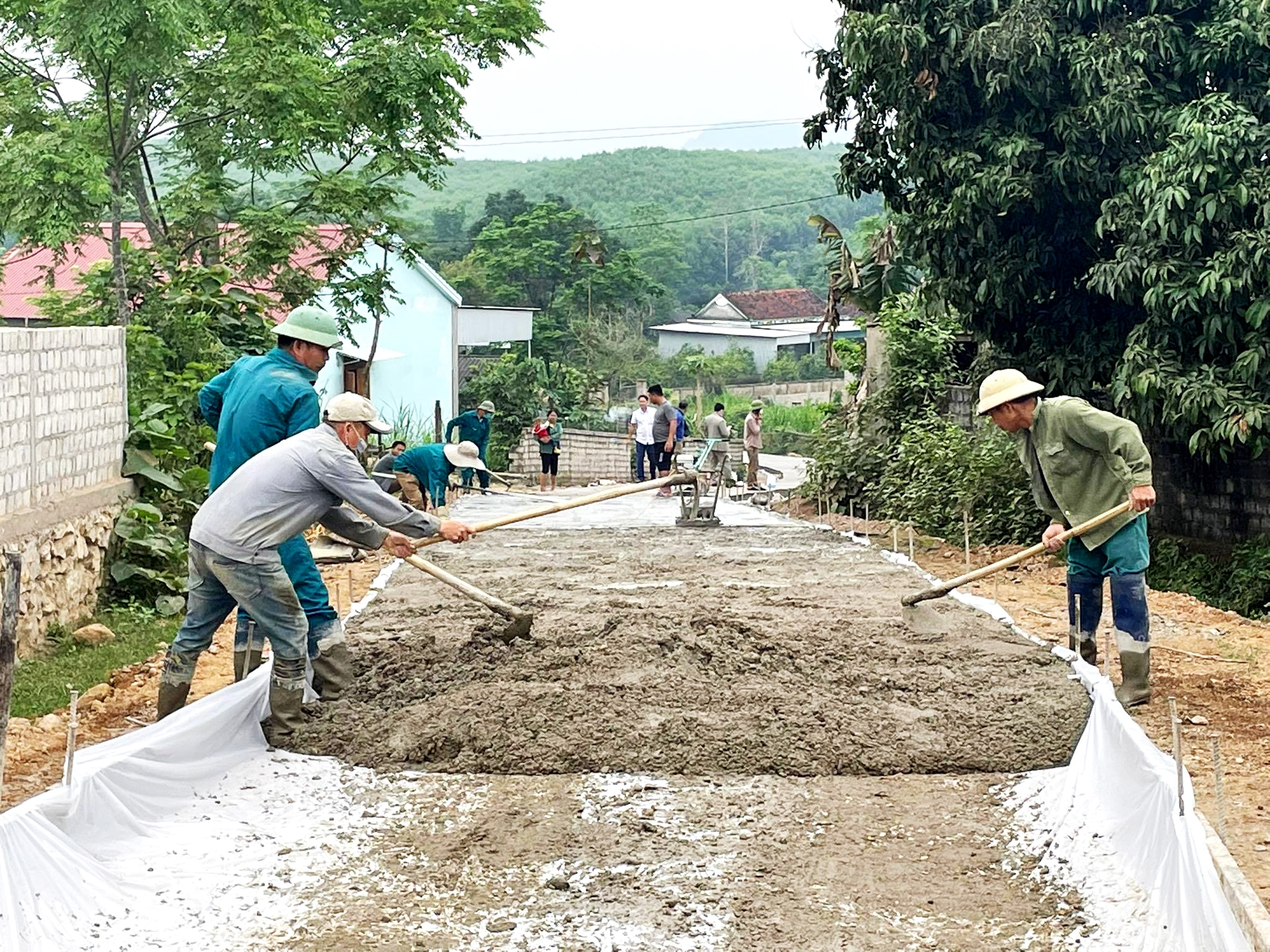 Hiện nay nhiều tuyến đường đã được bê tông hóa