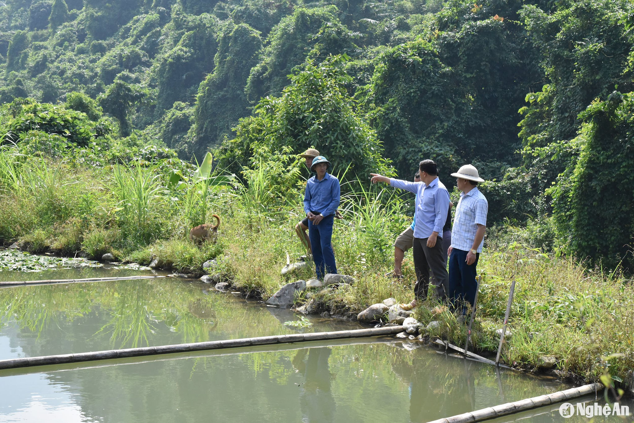 Cán bộ Phòng Nông nghiệp huyện Tương Dương và xã Nga My kiểm tra hiệu quả mô hình nuôi cá của hộ dân được thụ hưởng từ ngồn Chương trình MTQG tại bản Na Kho, xã Nga My. Ảnh: Hoài Thu.