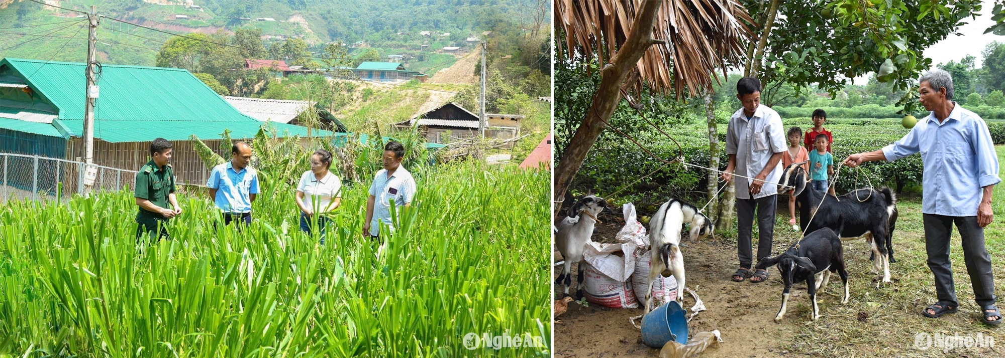 Cán bộ Đồn Biên phòng Cửa khẩu Nậm Cắn (Kỳ Sơn) trao đổi với người dân về phát triển kinh tế; Mô hình hỗ trợ sinh kế của Hội Nông dân tỉnh cho người dân miền núi. Ảnh: TL