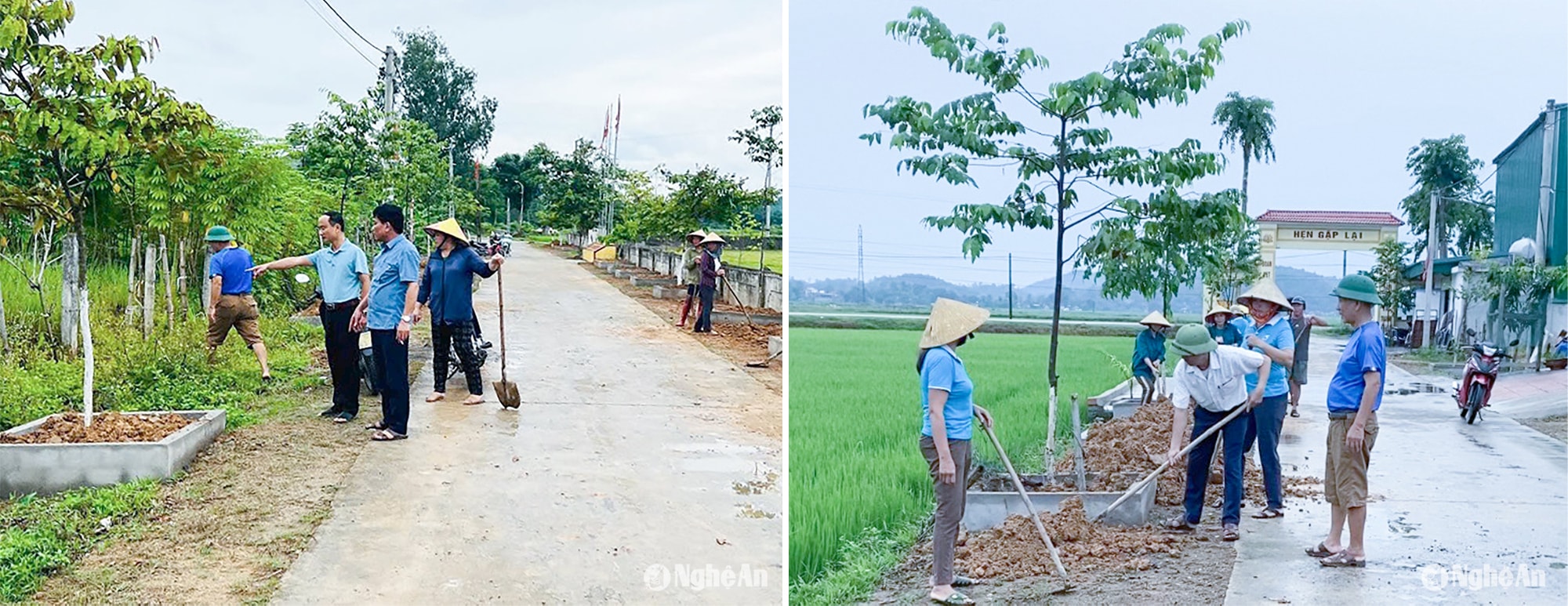 Phong trào chỉnh trang nông thôn đang được tập trung đẩy mạnh ở xã Thanh Phong (Thanh Chương). Ảnh Mai Hoa