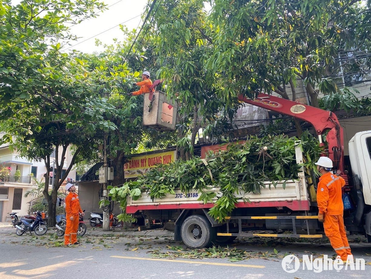 CB CNV Điện lực Nghệ An chặt tỉa cây cối vi phạm HLATLĐ