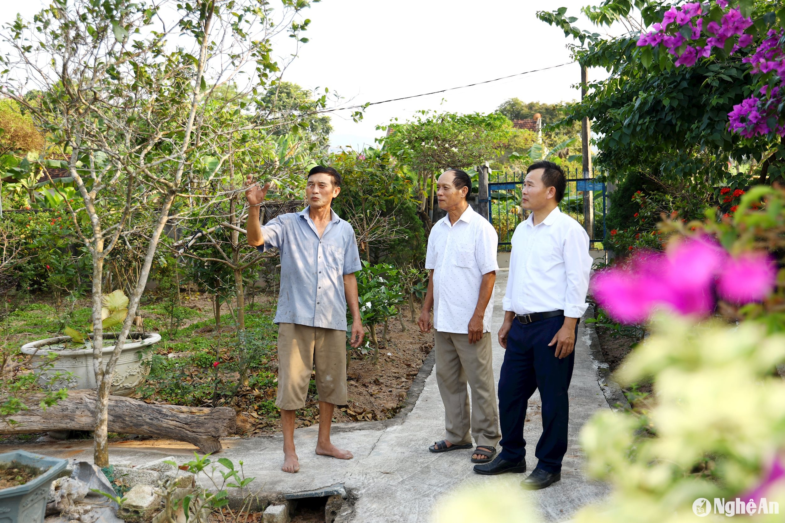 Ông Ngô Đình Xuân (giữa) – Bí thư chi bộ kiêm Xóm trưởng Đồng Bai (xã Nghĩa Hội - Nghĩa Đàn) thăm hộ dân phát triển kinh tế trên địa bàn xóm. Ảnh Nguyên Nguyên