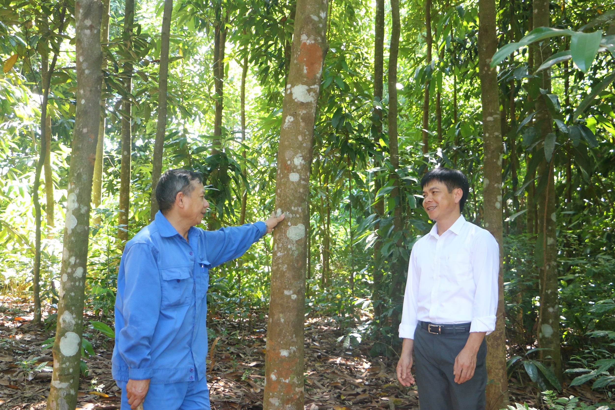 Ông Nguyễn Sĩ Giai- Bí thư Chi bộ thôn Lâm Trường ( bên trái) trao đổi về mô hình VACR với đồng chí Sầm Việt Hùng- Phó bí thư Đảng uỷ xã Tiền Phong, Huyện Quế Phong