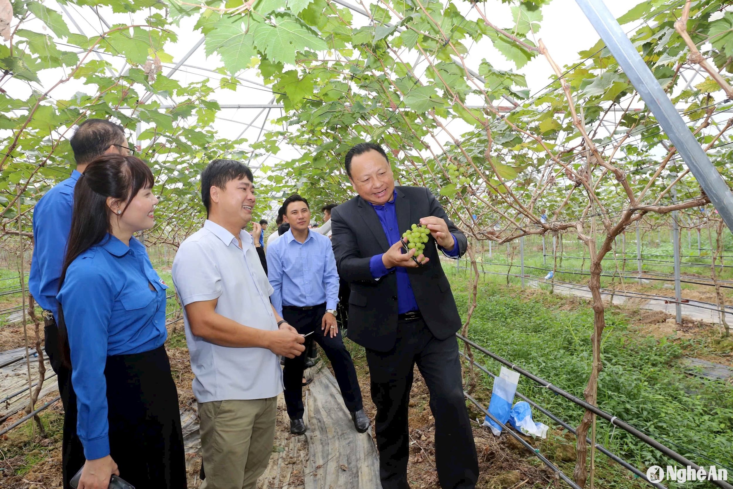 Đoàn công tác thăm mô hình trang trại công nghệ cao của anh Nguyễn Công Hải ở xã Thịnh Sơn. Ảnh Thanh Quỳnh