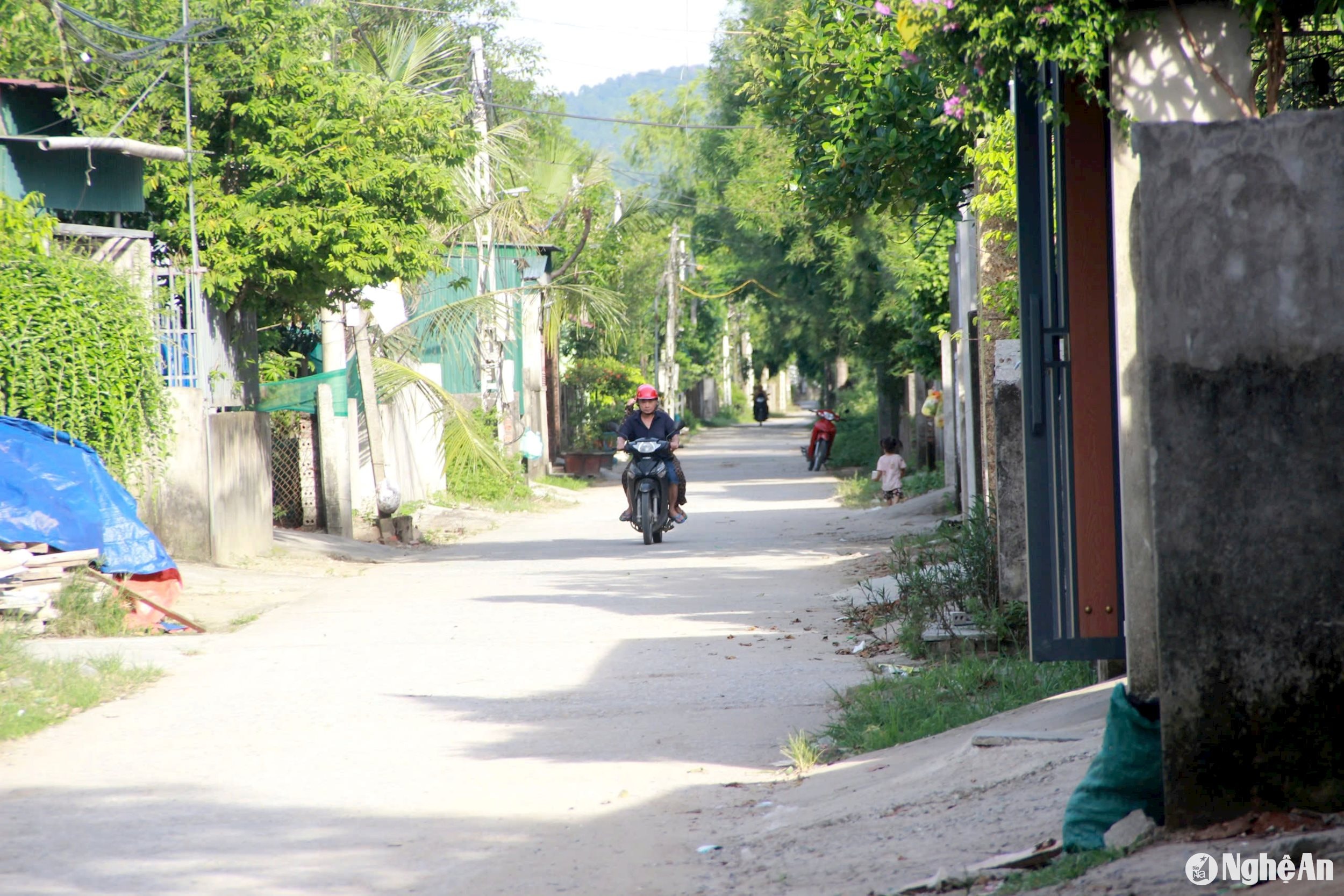 Tuyến đường bên trái cầu Tân Phượng, khối Tân An, phường Vinh Tân không có tên đường. Ảnh: Q.A