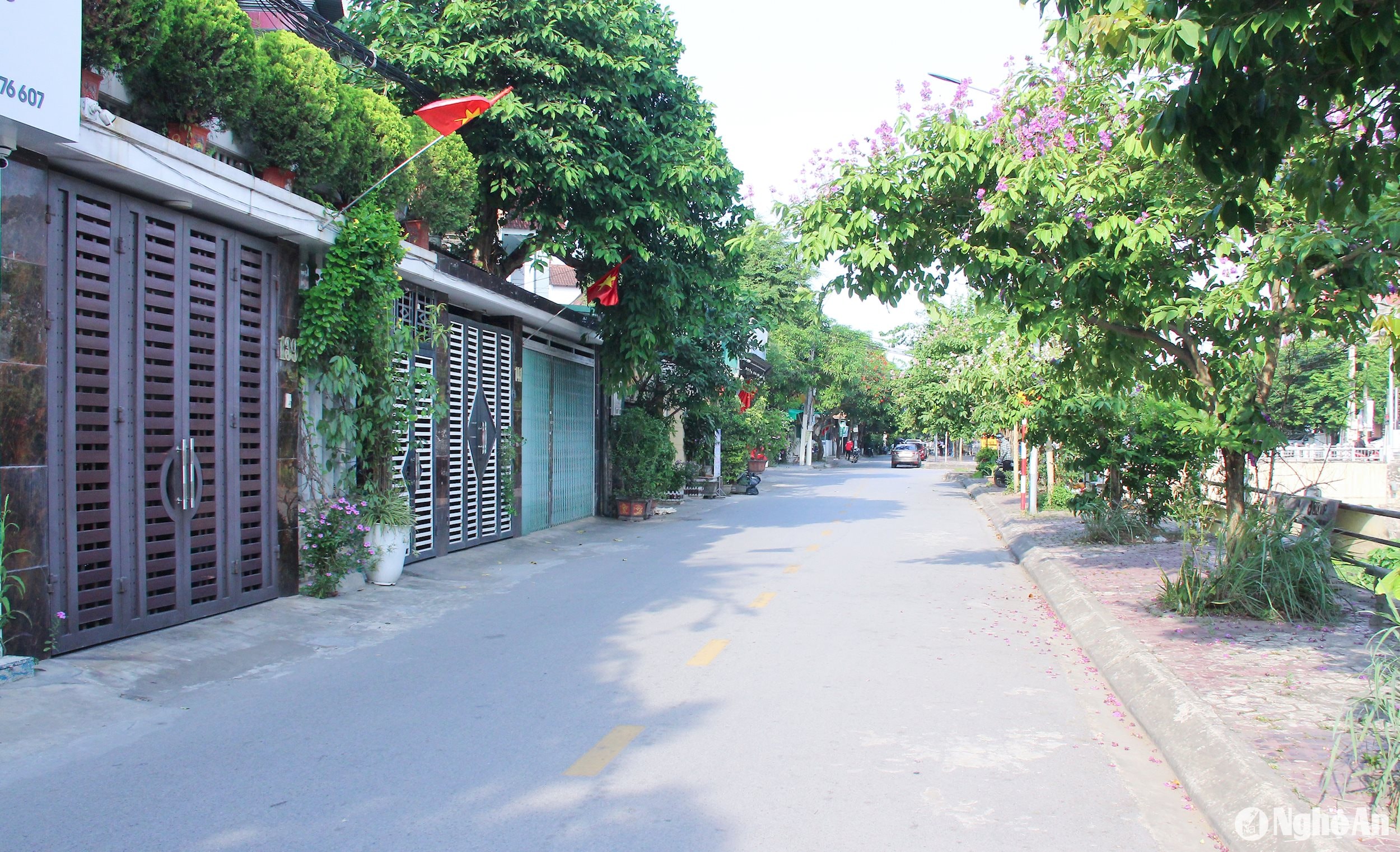 Phường Hà Huy Tập Ý thức của người dân thành phố Vinh trong tạo mảng xanh trong các khu dân cư. Ảnh Mai Hoa (1)