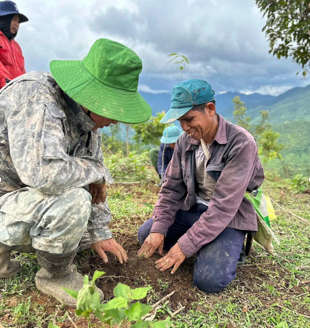 Người dân xã Phà Đánh được thụ hưởng mô hình hỗ trợ cây dược liệu, cây lâm sản ngoài gỗ triển khai trồng cây giống. Ảnh HT