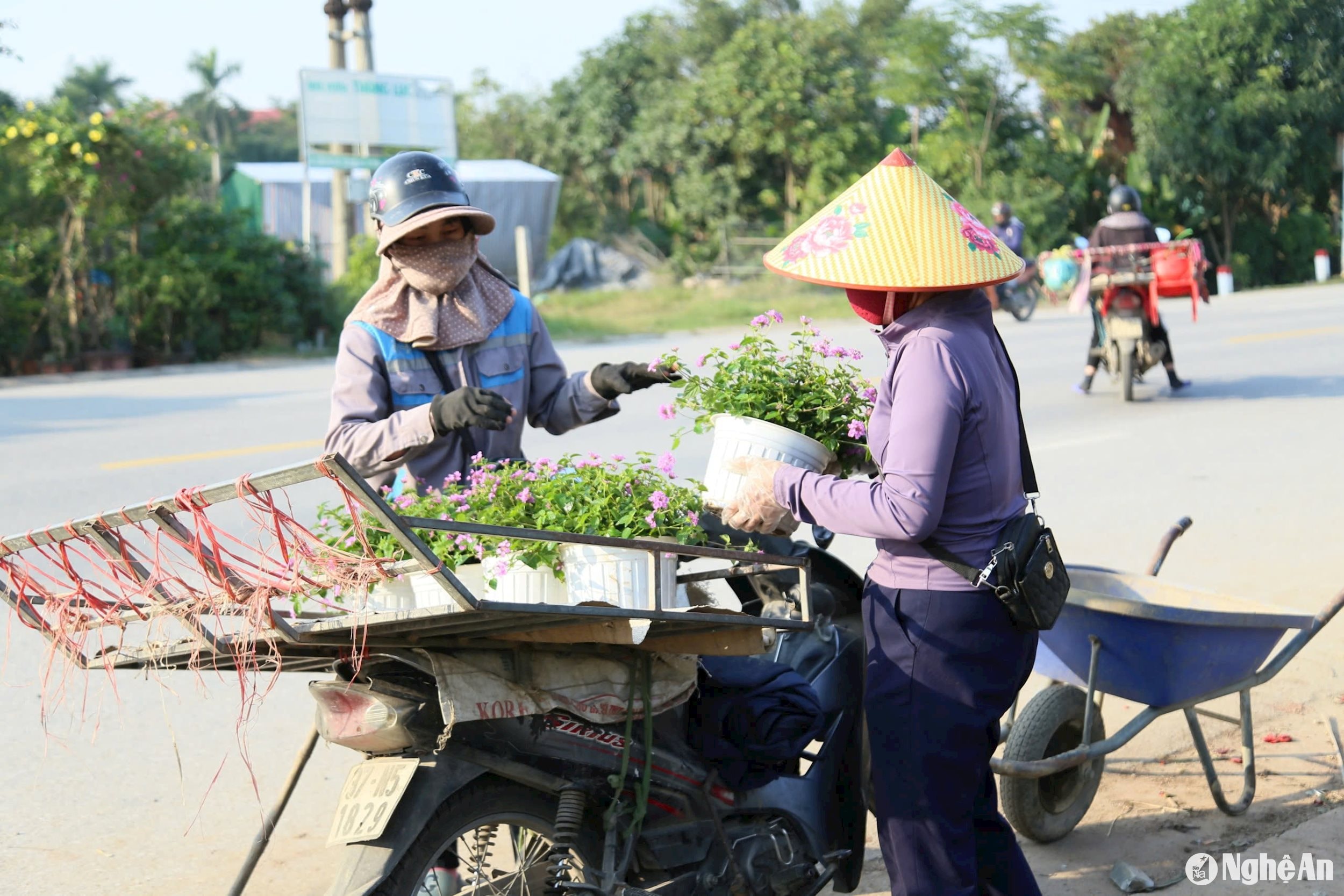 vận chuyển