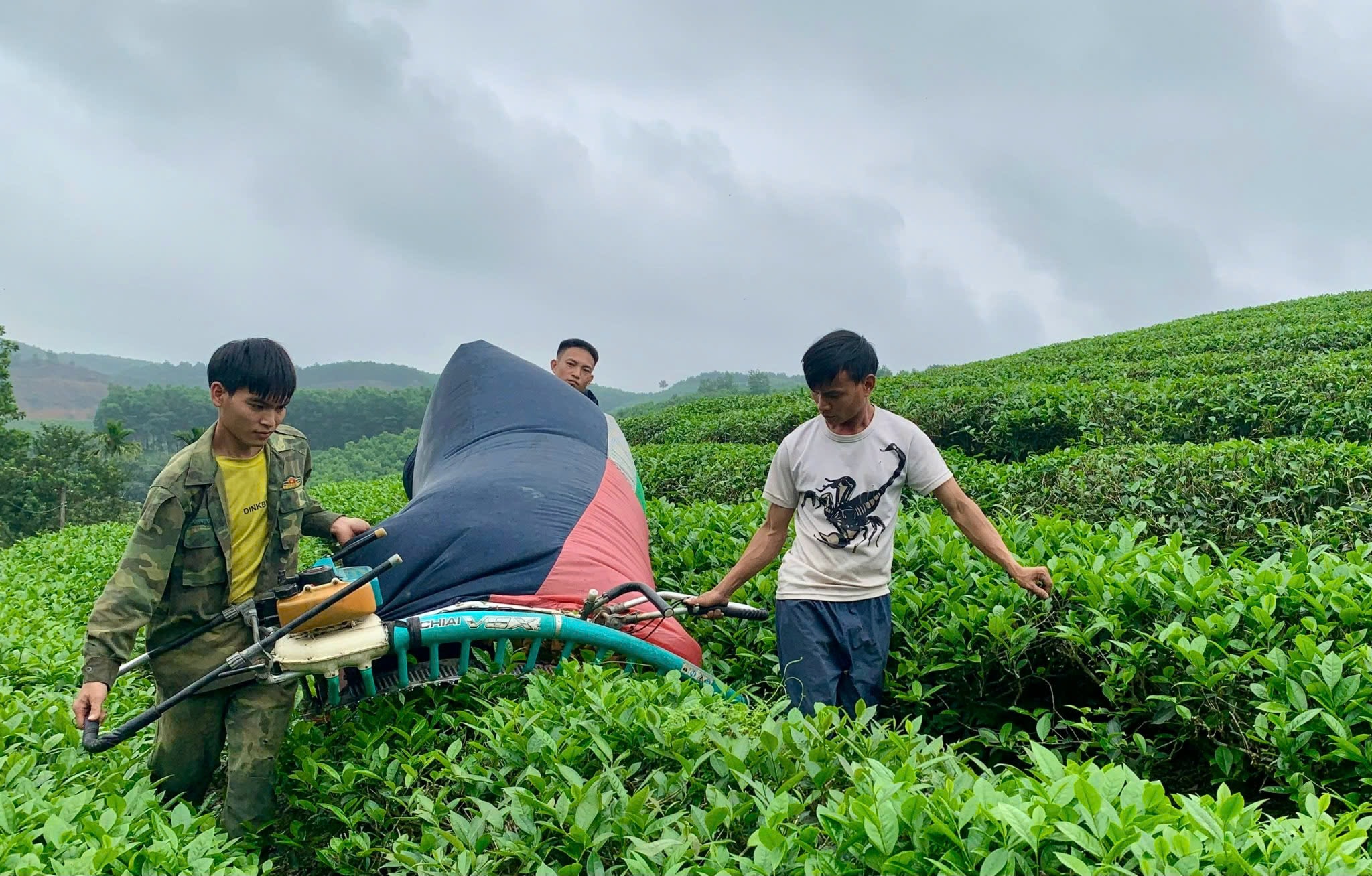 Các đơn vị Thanh niên xung phong Nghệ An đã nỗ lực hoàn thành mục tiêu, kế hoạch đề ra trong năm 2024. Ảnh: Nguyễn Quỳnh