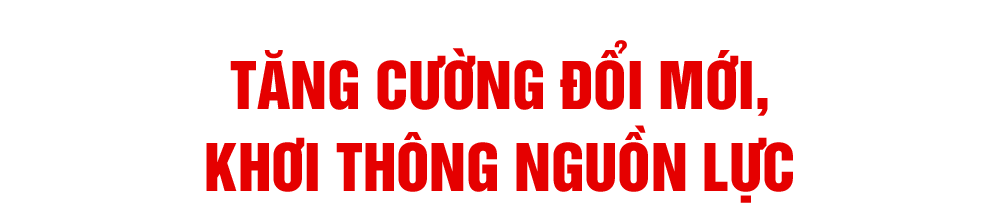 vungtin-tit2.png