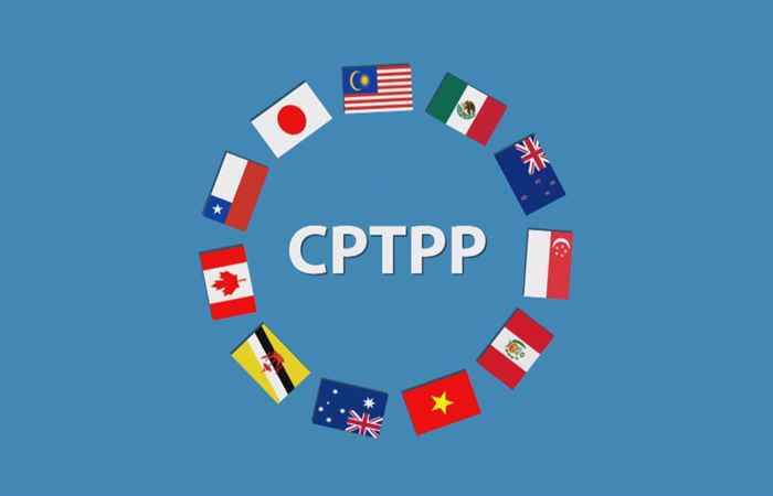 CPTPP LÀ GÌ - HIỆP ĐỊNH ĐỐI TÁC XUYÊN THÁI BÌNH DƯƠNG - Smartlink