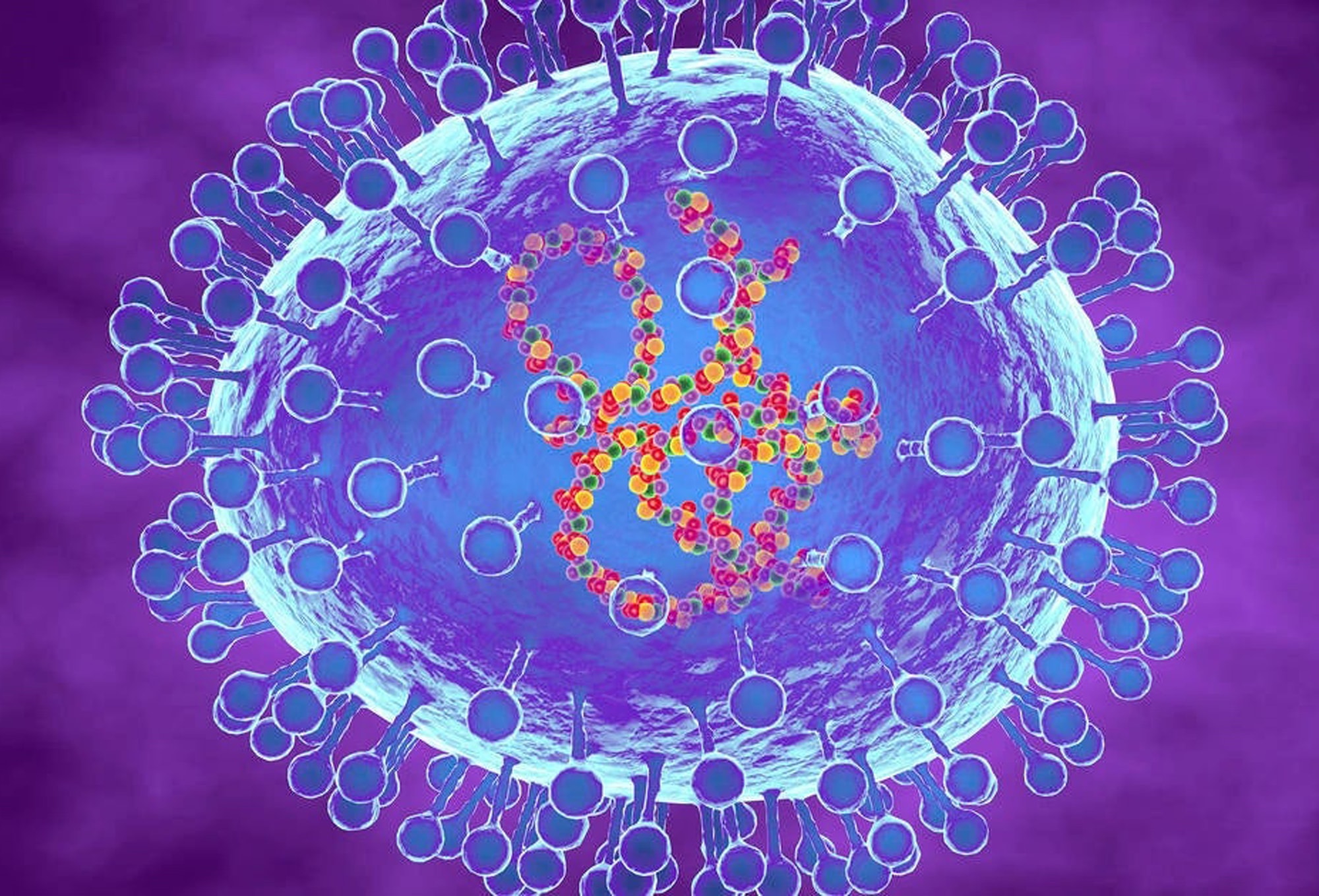 Virus HMPV