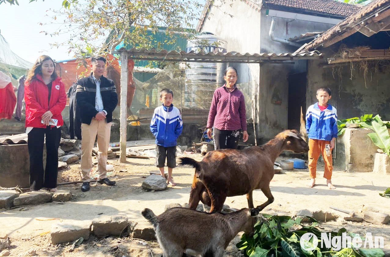 trao tặng cặp dê sinh sản