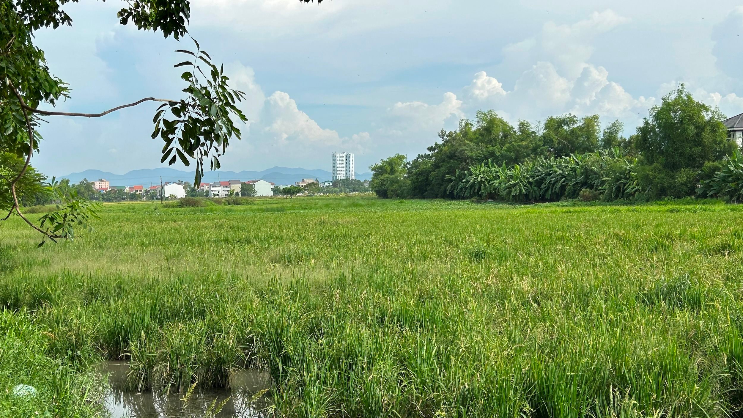 bna-dat-nong-nghiep-se-duoc-thu-hoi-de-thuc-hien-khu-do-thi-nghi-phu-.jpeg