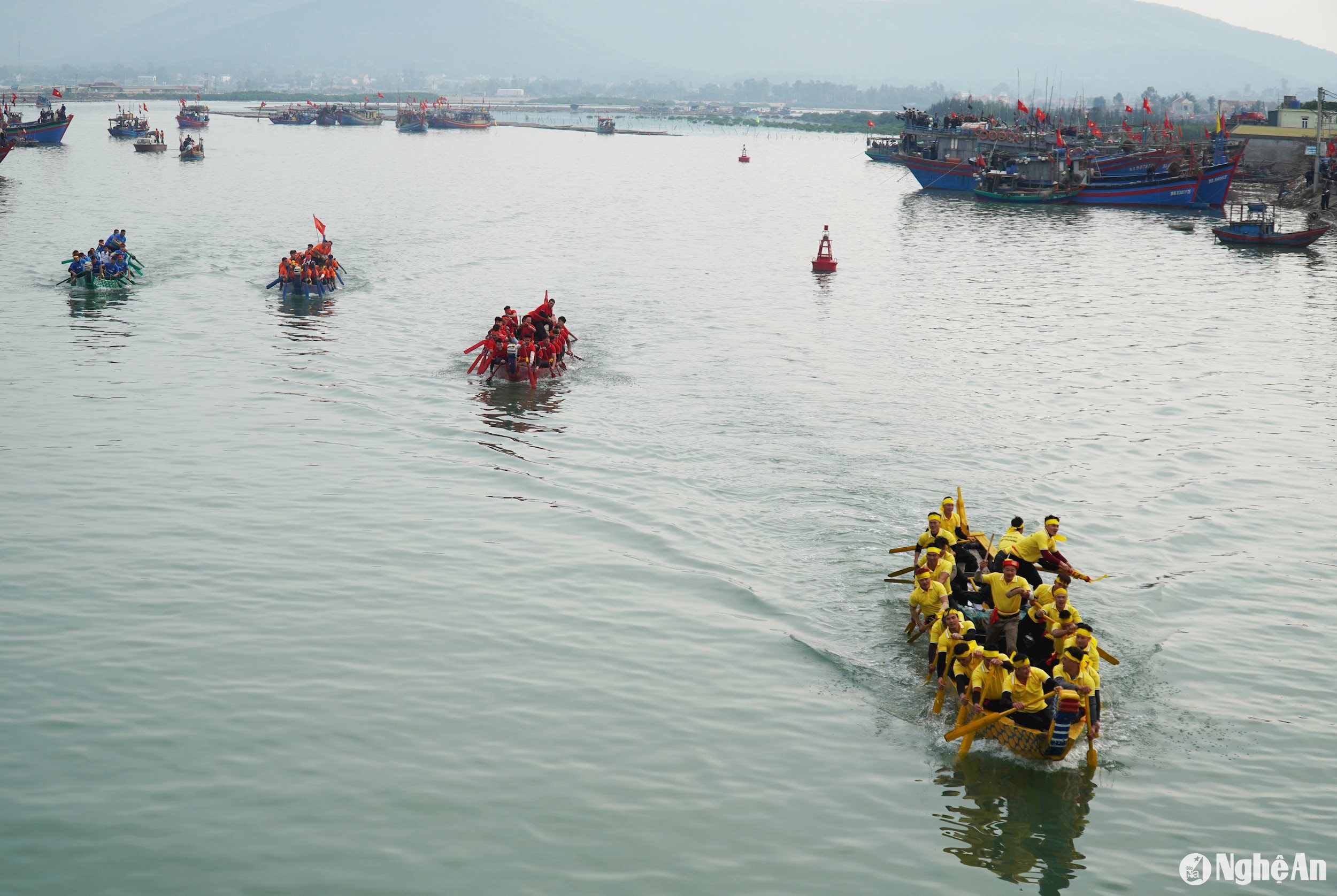 các đội đua tranh tài