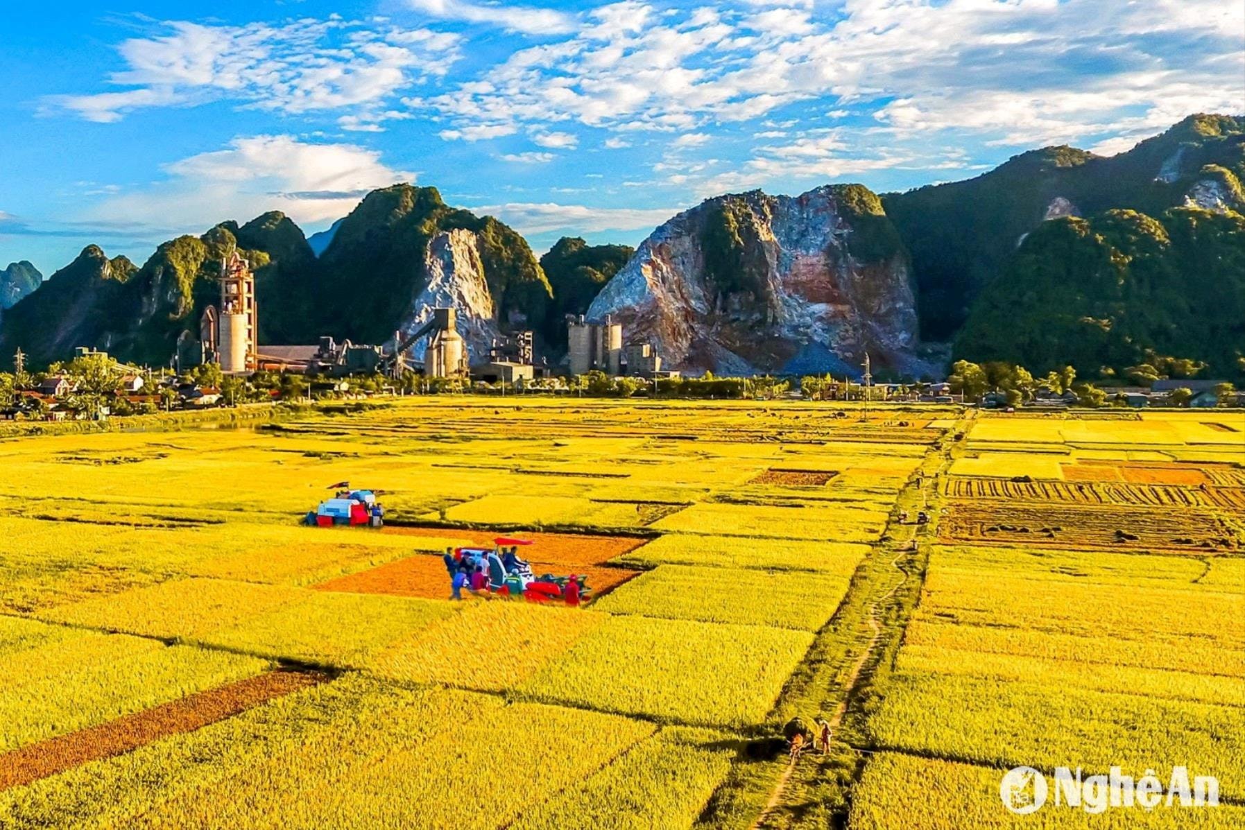 Xã Vĩnh Tường