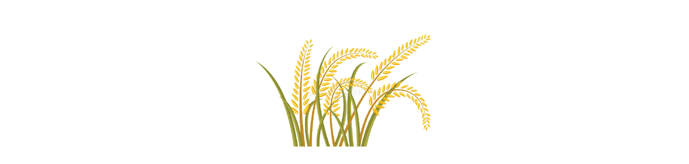 rice.png