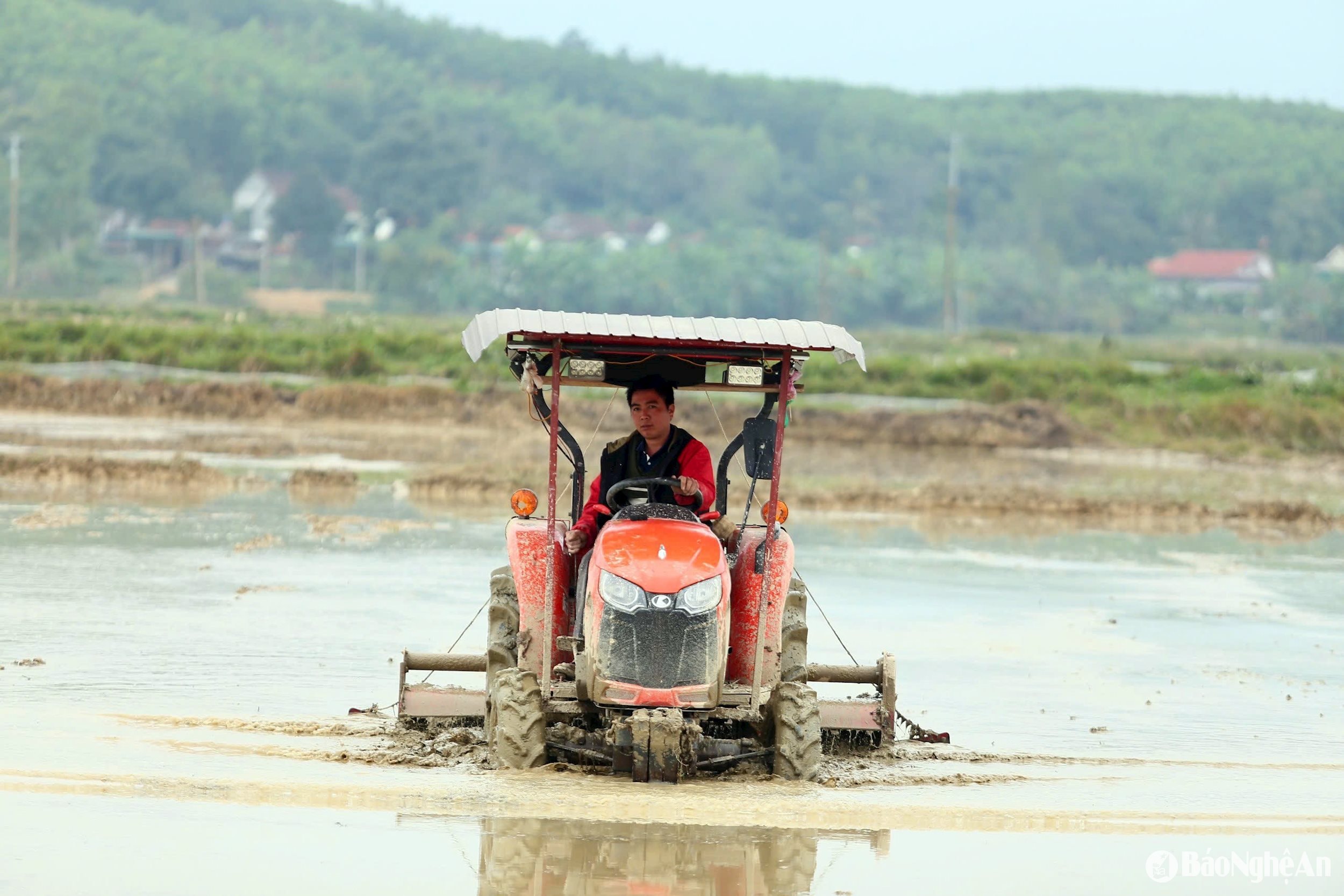  Cày. Ảnh- Phú Hương