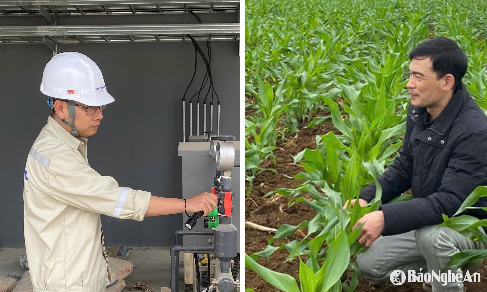 2 công nhân Nghệ An được Tổng Liên đoàn lao động Việt Nam tuyên dương