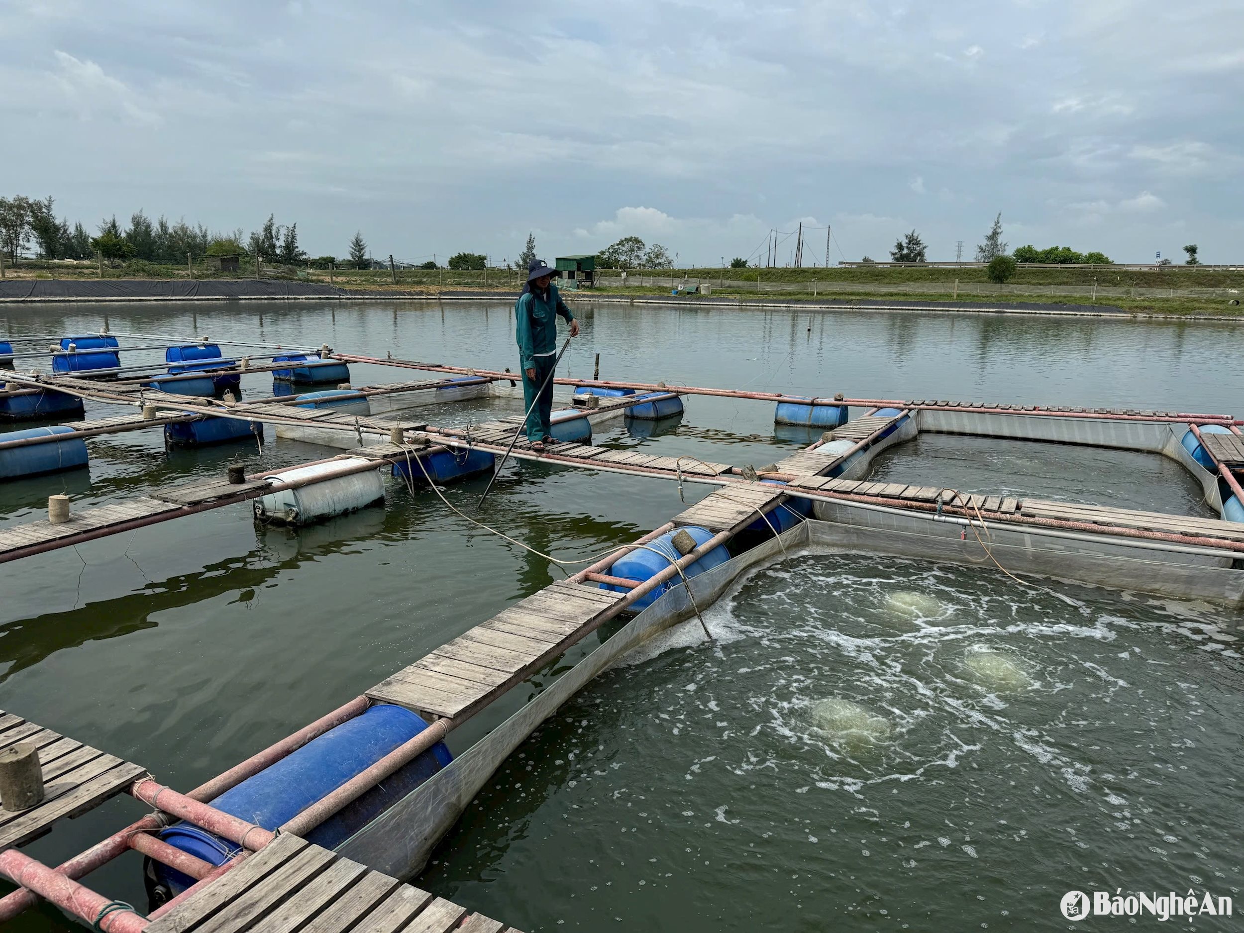  Nuôi tôm tại Khánh Hợp