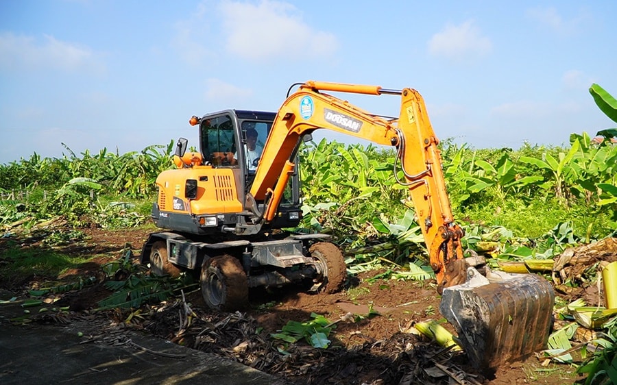 Việc cưỡng chế thực hiện quyết định kiểm đếm bắt buộc được thực hiện khi nào? Việc cưỡng chế thực hiện quyết định kiểm đếm bắt buộc được thực hiện khi nào?