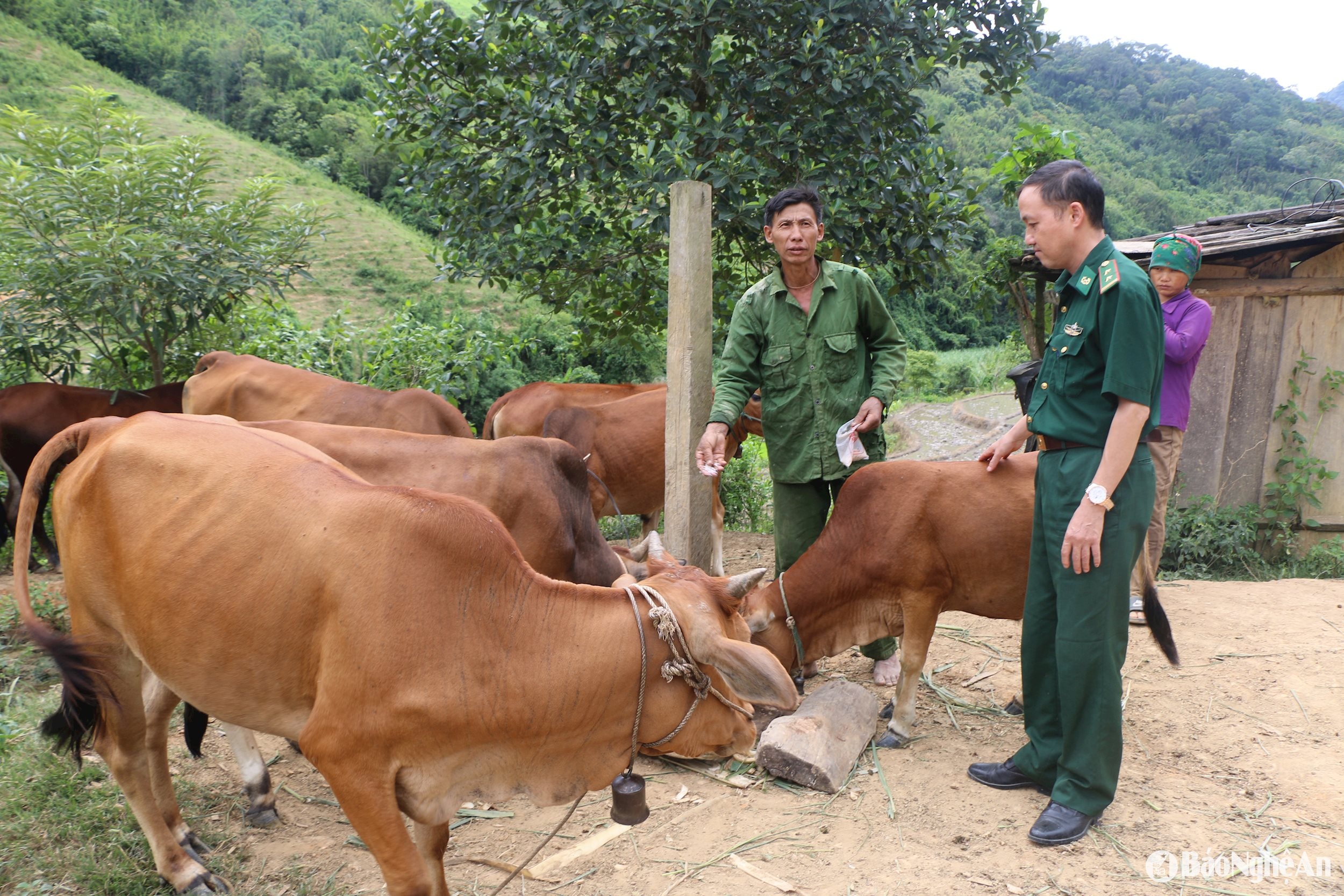 Nhờ sự giúp đỡ của đảng viên quân hàm xanh, gia đình ông ông Xồng Nhìa Lỳ đã vươn lên thoát nghèo.