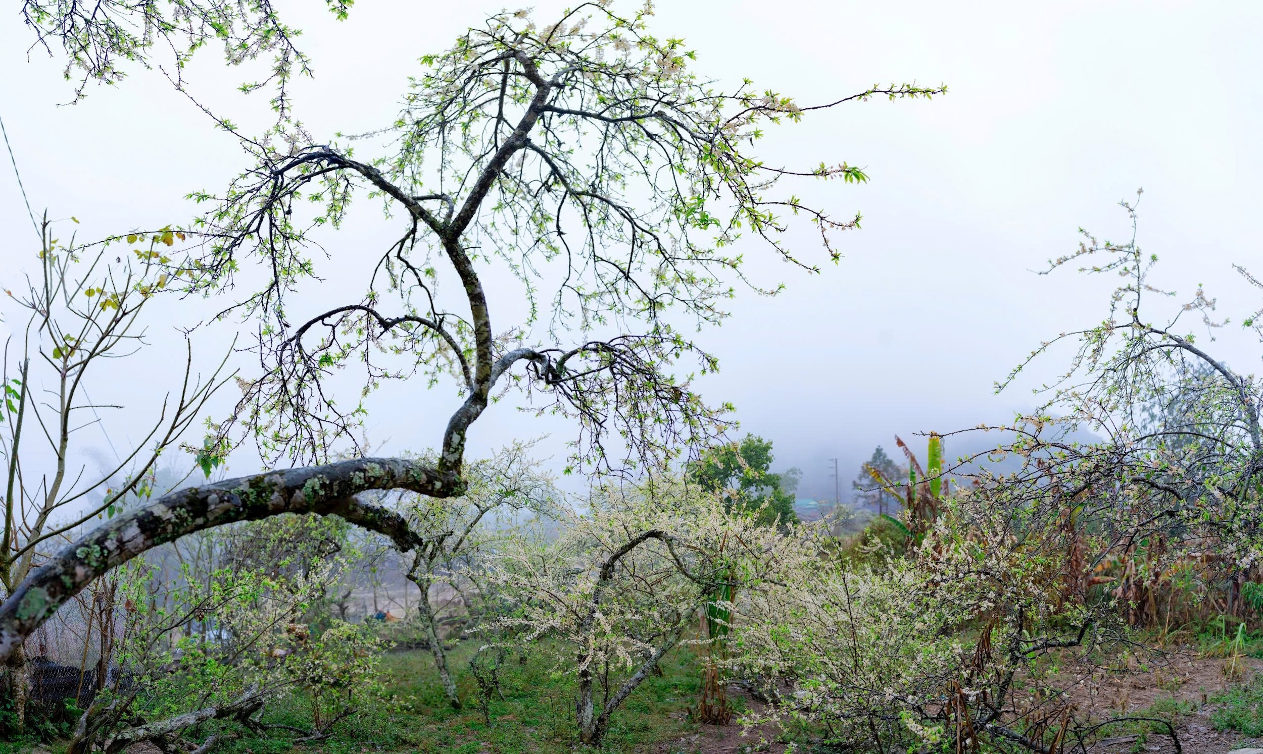 Xã Mường Lống