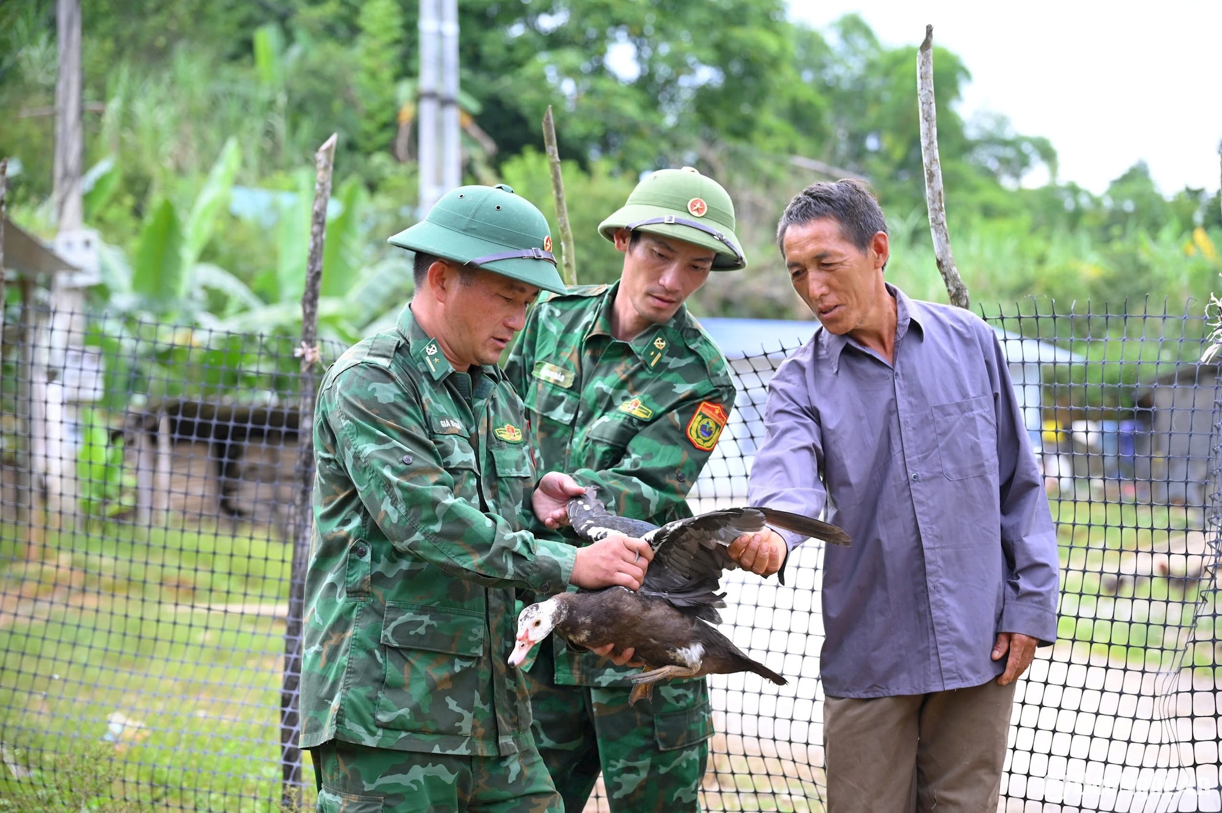 Cán bộ Đồn biên phòng Na Ngoi hướng dẫn người dân chăm sóc vật nuôi