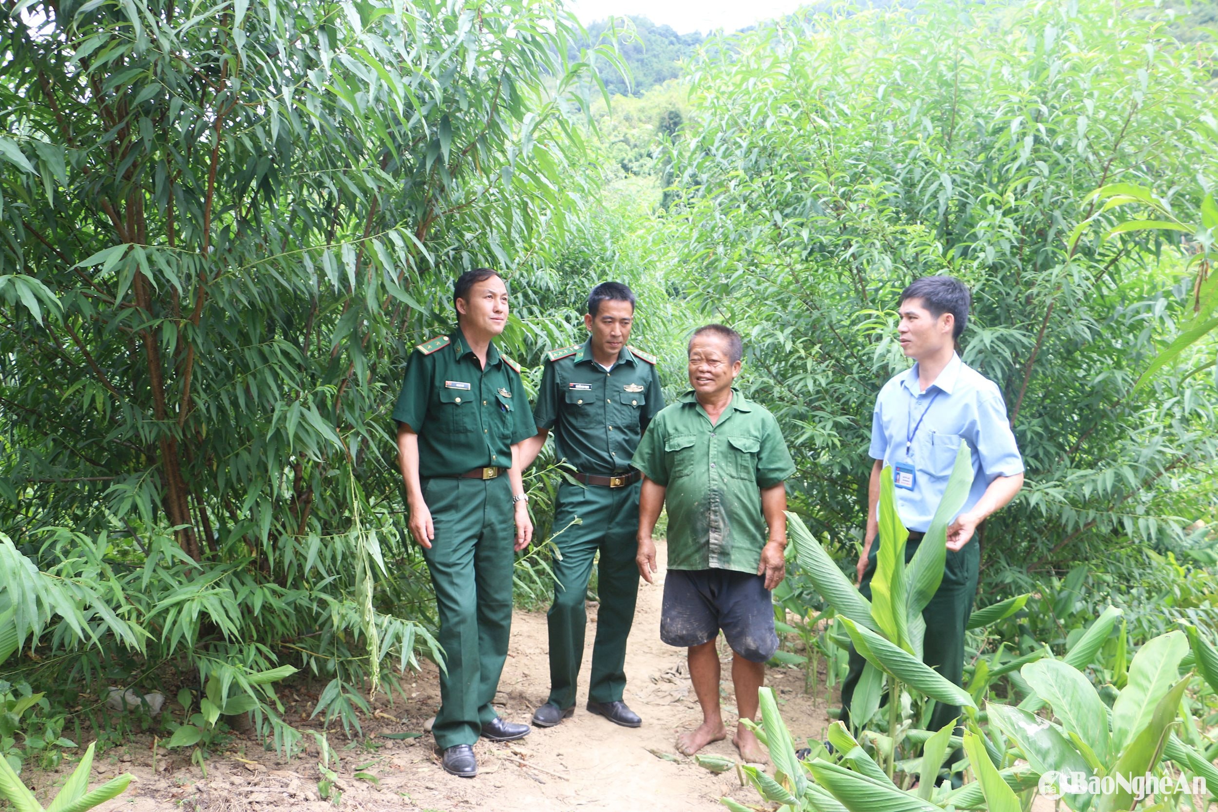 Cán bộ ĐỒn biên phòng Tam Hợp trao đổi với người dân bản Phá Lõm, xã Tam Hợp trao đổi với BĐBP và cán bộ địa phương về mô hình trồng đào cảnh